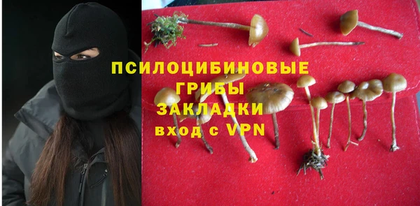 хмурый Заводоуковск
