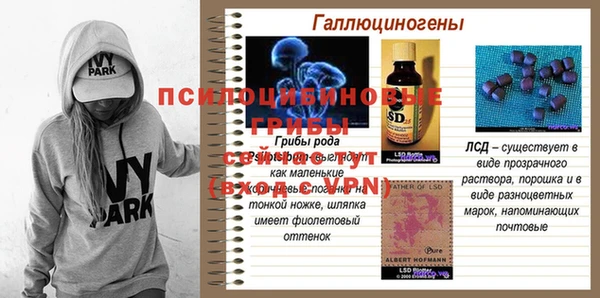 хмурый Заводоуковск