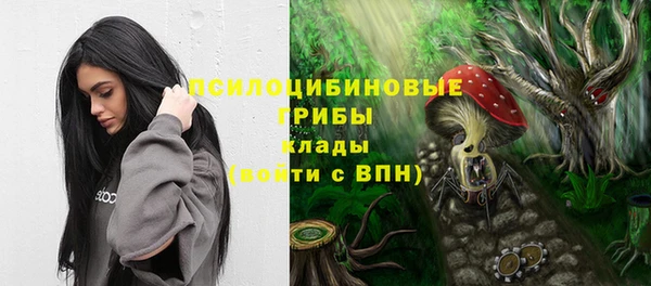 хмурый Заводоуковск