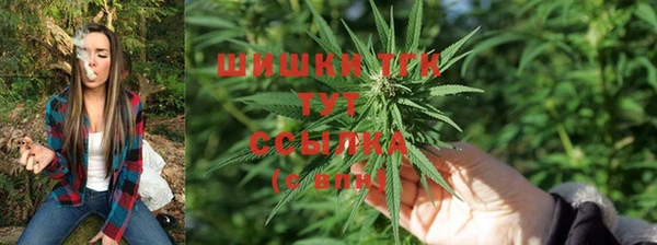 хмурый Заводоуковск