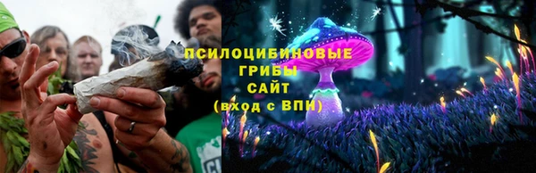 хмурый Заводоуковск