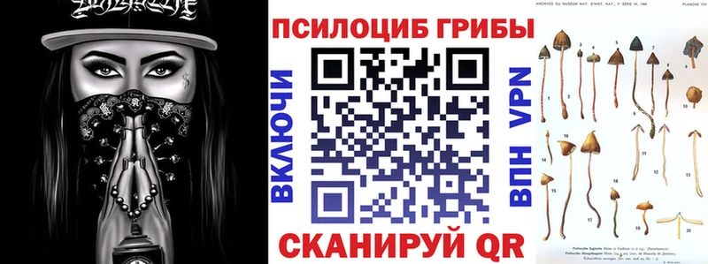 Псилоцибиновые грибы Psilocybine cubensis Высоковск