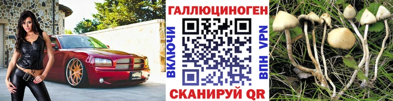 Купить закладки  Высоковск  Галлюциногенные грибы Magic Shrooms 